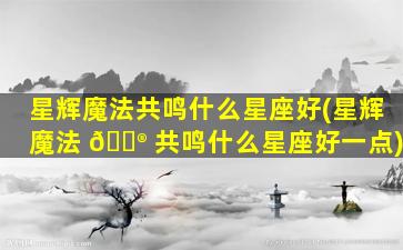 星辉魔法共鸣什么星座好(星辉魔法 💮 共鸣什么星座好一点)